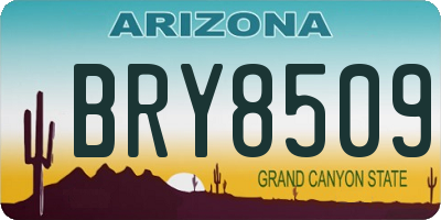 AZ license plate BRY8509