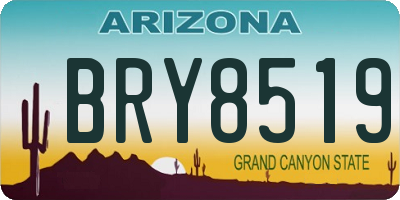 AZ license plate BRY8519
