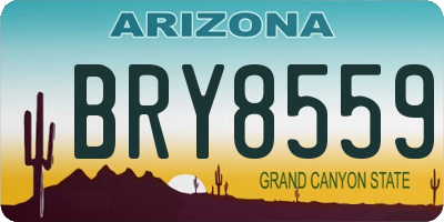 AZ license plate BRY8559