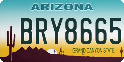 AZ license plate BRY8665