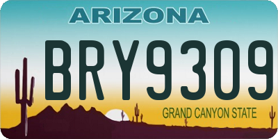 AZ license plate BRY9309