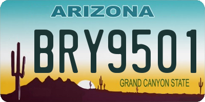 AZ license plate BRY9501