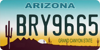 AZ license plate BRY9665