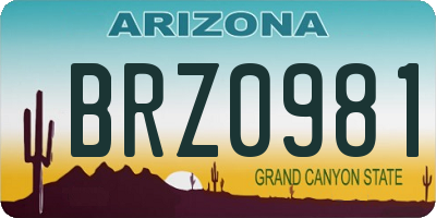 AZ license plate BRZ0981