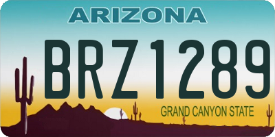 AZ license plate BRZ1289