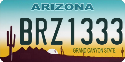 AZ license plate BRZ1333