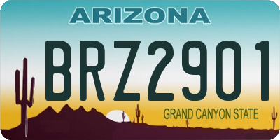 AZ license plate BRZ2901