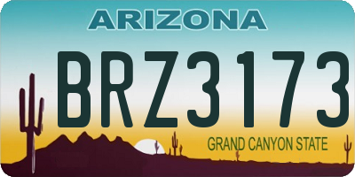 AZ license plate BRZ3173