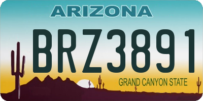 AZ license plate BRZ3891