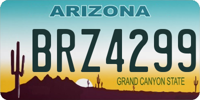 AZ license plate BRZ4299