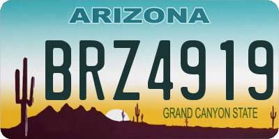 AZ license plate BRZ4919