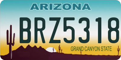 AZ license plate BRZ5318