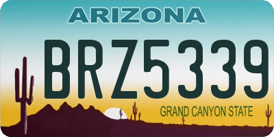 AZ license plate BRZ5339
