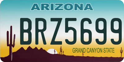 AZ license plate BRZ5699