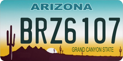 AZ license plate BRZ6107