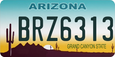 AZ license plate BRZ6313