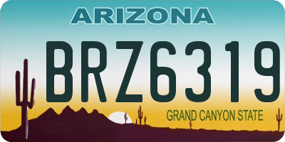 AZ license plate BRZ6319