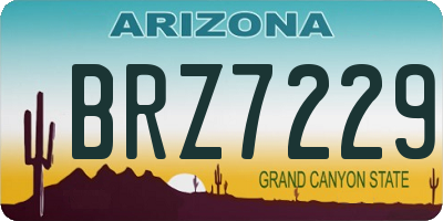 AZ license plate BRZ7229