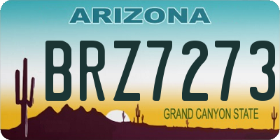 AZ license plate BRZ7273