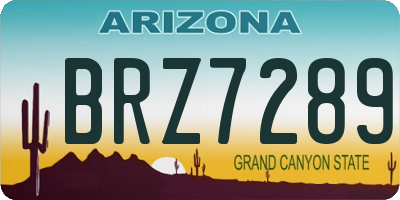 AZ license plate BRZ7289