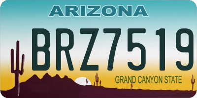 AZ license plate BRZ7519