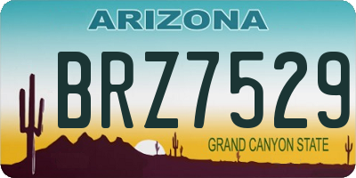 AZ license plate BRZ7529