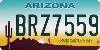 AZ license plate BRZ7559