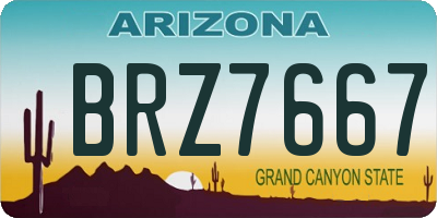 AZ license plate BRZ7667