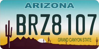 AZ license plate BRZ8107