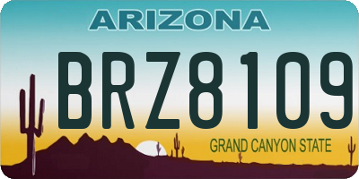 AZ license plate BRZ8109