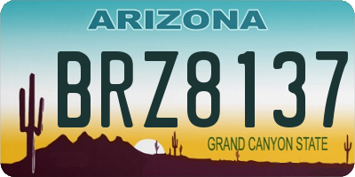 AZ license plate BRZ8137