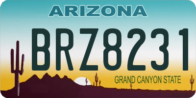 AZ license plate BRZ8231