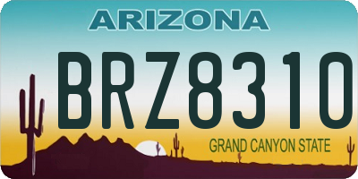 AZ license plate BRZ8310