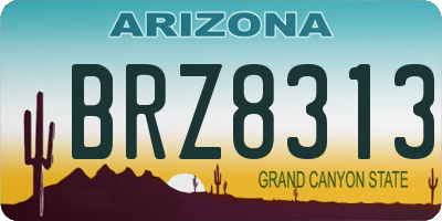 AZ license plate BRZ8313