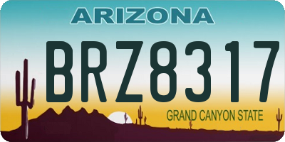 AZ license plate BRZ8317