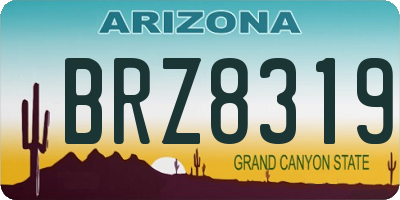 AZ license plate BRZ8319