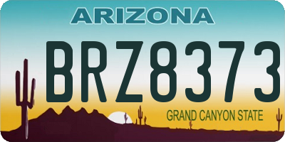 AZ license plate BRZ8373