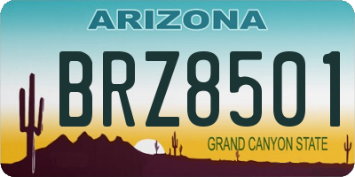 AZ license plate BRZ8501