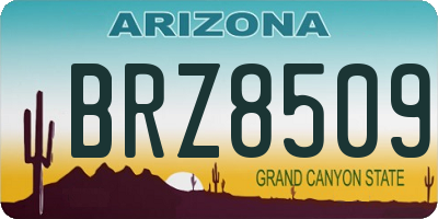 AZ license plate BRZ8509