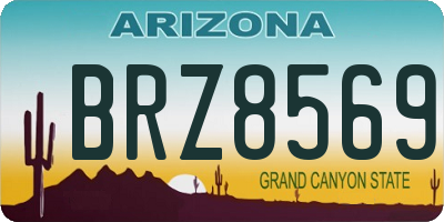 AZ license plate BRZ8569