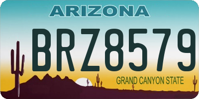 AZ license plate BRZ8579
