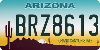 AZ license plate BRZ8613