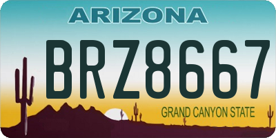 AZ license plate BRZ8667