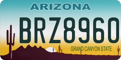 AZ license plate BRZ8960