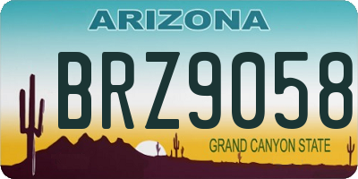 AZ license plate BRZ9058