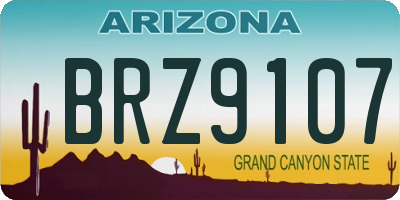 AZ license plate BRZ9107