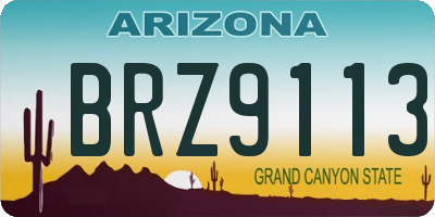 AZ license plate BRZ9113