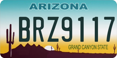 AZ license plate BRZ9117