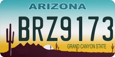 AZ license plate BRZ9173