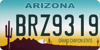 AZ license plate BRZ9319